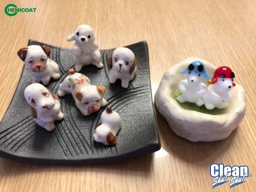 cach-ve-sinh-cho-thu-cung-danh-cho-nhung-ai-dam-me-thu-cung