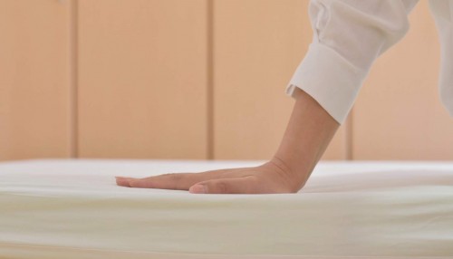 ban-co-dang-ve-sinh-nem-giuong-hon-500-ml-mo-hoi-moi-ngay