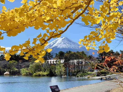 mua-thu-mua-thuong-nho