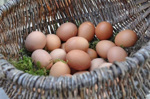 Trứng bảo quản trong tủ lạnh được bao lâu? Bật mí về trứng
