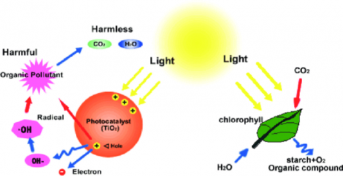 Công nghệ quang xúc tác - phòng lây nhiễm covid 19?